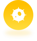 3.开展分级保护