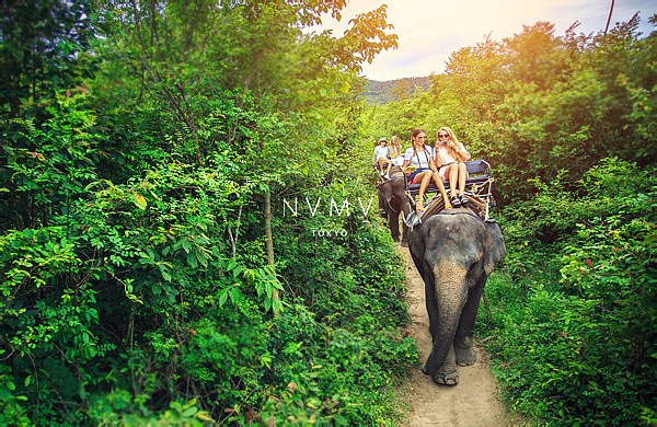 自然风情之旅-海外自由行