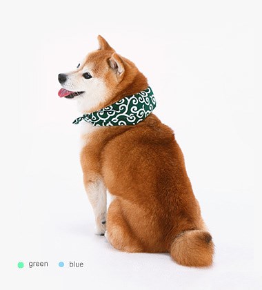 宠物专用印花三角巾